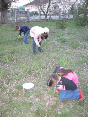Dima, Bella, and Luda are searching for spiders.